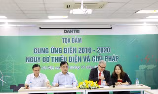 Ông Franz Gerner (thứ hai từ trái sang) tại tọa đàm “Cung ứng điện giai đoạn 2016-2020: Nguy cơ thiếu điện và giải pháp”
