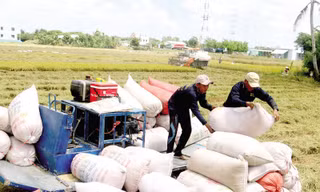 Bộ Công Thương đề nghị Bộ Tài chính chỉ đạo hải quan thống kê các tờ khai có dấu hiệu khai khống xuất khẩu gạo