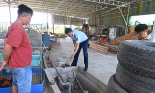 Quản lý thị trường An Giang kiểm tra cây xăng treo biển hết hàng ngày 29/1