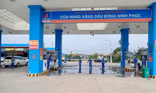 Thông tin mới vụ hệ thống mạng PVOil bị 'đánh sập'