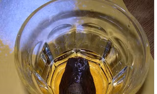 Cocktail ngâm... ngón chân người