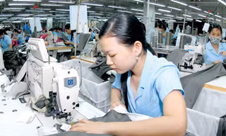 Nhu cầu nhân lực một số ngành giảm đến 60%
