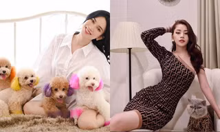 Dàn “boss” siêu cấp đáng yêu của sao Việt, gây ấn tượng nhất là “hậu cung” của Sĩ Thanh