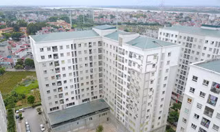 Ảnh minh họa: Internet