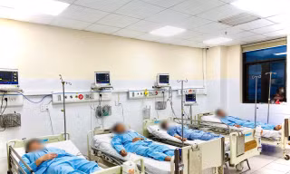 Cả nhà ngộ độc nấm, 1 người chết, 5 người cấp cứu tại bệnh viện