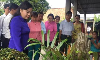 TPHCM: Xử phạt gần 400 vi phạm phòng chống sốt xuất huyết