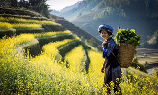Tây Bắc tuyệt đẹp trong truyện của nhà văn Ma Văn Kháng