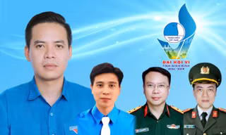 Ủy ban Hội LHTN Việt Nam tỉnh Ninh Bình nhiệm kỳ 2024 - 2029
