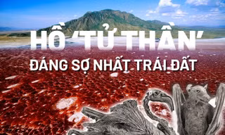 Hồ tử thần đáng sợ khiến mọi sinh vật rớt xuống đều 'hóa đá' bí ẩn