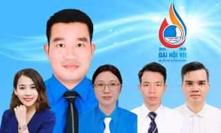 Ủy ban Hội LHTN Việt Nam tỉnh Hòa Bình nhiệm kỳ 2024 - 2029