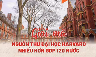 Đại học Harvard 'thu tiền' từ đâu mà giàu hơn 120 nền kinh tế thế giới?
