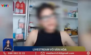 Dù đã làm mờ mặt nhưng nhiều khán giả nhận ra những ca sĩ, diễn viên, người mẫu được VTV điểm mặt là ai. 