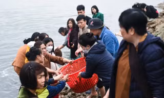Phóng sinh gần 700kg cá trên sông Hồng