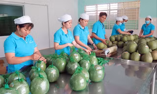 Doanh nghiệp mong các bộ, ngành tích cực đàm phán mở cửa thị trường xuất khẩu cho các mặt hàng rau quả