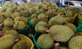 Hàng triệu tấn trái cây chờ tiêu thụ