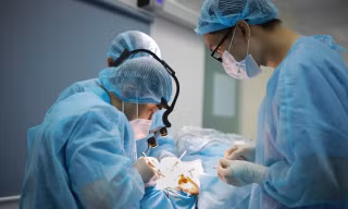 Khách Việt kiều đến Bệnh viện Da Liễu TPHCM thực hiện phẫu thuật thẩm mỹ dịp cuối năm. Ảnh: Lan Anh