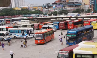 Mặc dù vắng khách nhưng dịp Tết bến xe Hà Nội vẫn huy động hàng trăm lượt xe tăng cường đề phòng quá tải. Ảnh: T.Ðảng