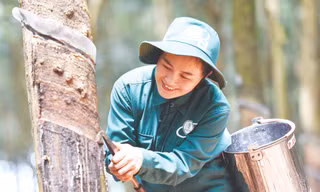 Thương hiệu 'vàng trắng' trăm năm đồng hành cùng đất nước 