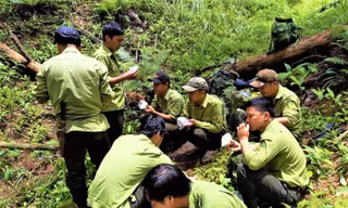 Lực lượng kiểm lâm VQG Chư Yang Sin ăn cơm nắm giữ rừng