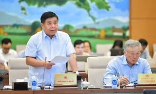 Bộ trưởng KH&ĐT Nguyễn Chí Dũng. Ảnh: QH
