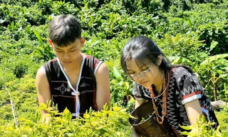 Lễ hội ớt A Riêu