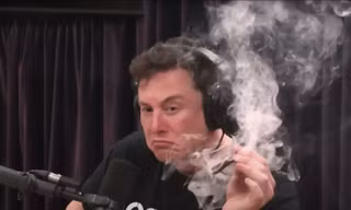 Tỷ phú Elon Musk phát biểu gây sốc về ma túy 