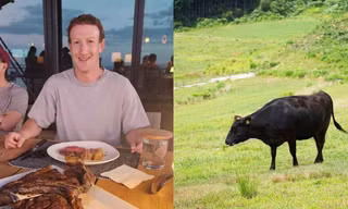 Tỷ phú Mark Zuckerberg chăn nuôi gia súc ở đảo Hawaii