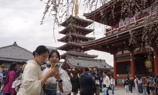 'Chuyến tham quan dối trá' gây sốt 