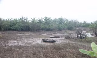 Khu đầm của gia đình ông Vươn sau vụ cưỡng chế đã bị tháo nước, cướp vét thủy sản Ảnh: L.K