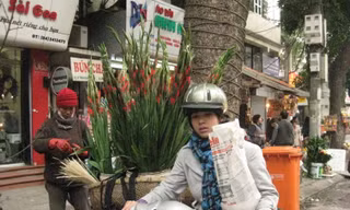 Nhiều người dân tích hoa từ sớm