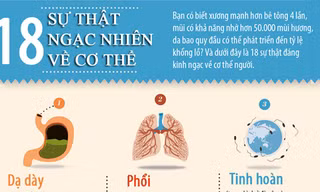 [ĐỒ HỌA] Những thống kê ngạc nhiên về cơ thể người