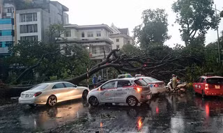 Hà Nội ngổn ngang sau dông lốc lớn