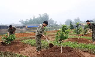 Chiến đấu viên Đội 11, Liên đội Đặc công 9 chăm sóc vườn cây ăn quả.