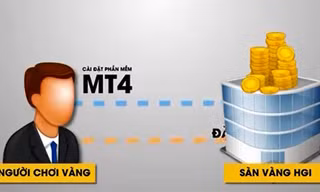[VIDEO] Trần tình của các nạn nhân sàn vàng HGI