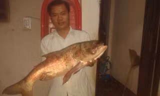 Anh Mười với con cá mè "khủng" câu được.