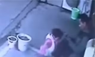 Clip hai cha con thoát chết trong gang tấc