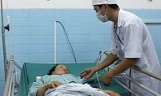 Hai nông dân ở Quảng Trị bị rắn lục đuôi đỏ cắn khi đang gặt lúa. Ảnh: Hoàng Táo.
