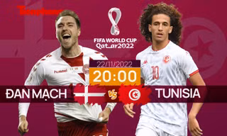 World Cup 2022: Tương quan trận đấu Đan Mạch - Tunisia, 20 giờ 22/11