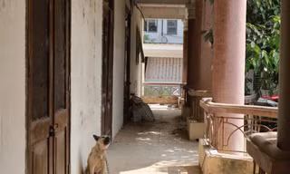 Xót xa công sở trên đất 'vàng' ở TP. Hòa Bình bị bỏ hoang nhiều năm