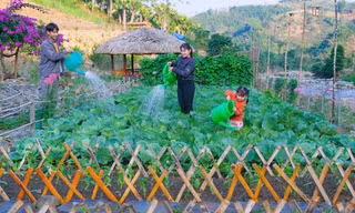 Trang trại đẹp như tranh giúp chàng trai Mường thu tiền tỉ mỗi năm