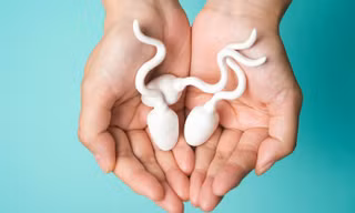 Liệu đồ ăn hàng ngày có khả năng làm thay đổi mùi của tinh dịch không?