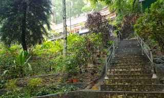 TP Thanh Hóa xin thí điểm xe bốn bánh chạy năng lượng điện ở điểm du lịch