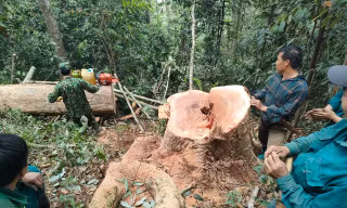Bắt quả tang 5 đối tượng khai thác gỗ trái phép ở Thanh Hoá