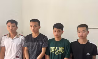 Bắt nhóm bảo kê, chăn dắt nữ nhân viên quán karaoke 