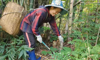 Phát huy nguồn lực, tận dụng thời cơ để giảm nghèo ở huyện Mường Lát