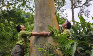 Thanh Hóa có thêm một Vườn quốc gia