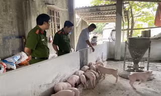 Điểm tựa của hành trình hoàn lương