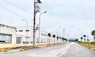 Thanh Hóa chỉ đạo xử lý doanh nghiệp có dấu hiệu gian lận hồ sơ thực hiện dự án