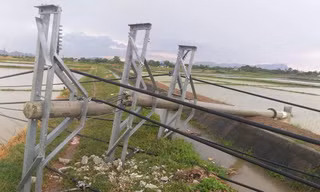 Một người tử vong, hàng loạt cột điện đổ gãy do giông, sét ở Thanh Hóa