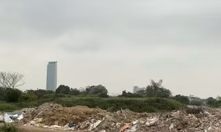 'Cấm cửa' 2 doanh nghiệp tham gia đấu thầu vì thiếu trung thực 